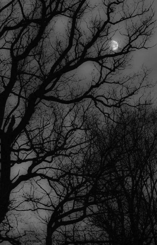 Dejected | R. Suna
