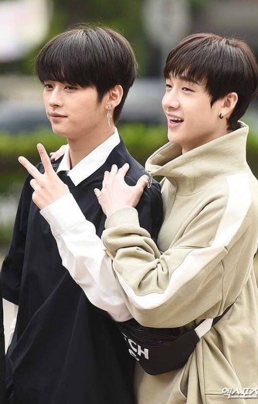 Minchan (Skz fanfiction)