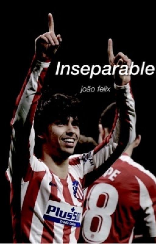 𝗜𝗻𝘀𝗲𝗽𝗮𝗿𝗮𝗯𝗹𝗲 - joão félix