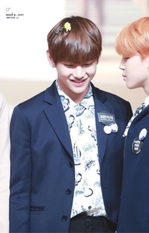 ♡Vminizor♡ ☾a Vmin fanfic☽