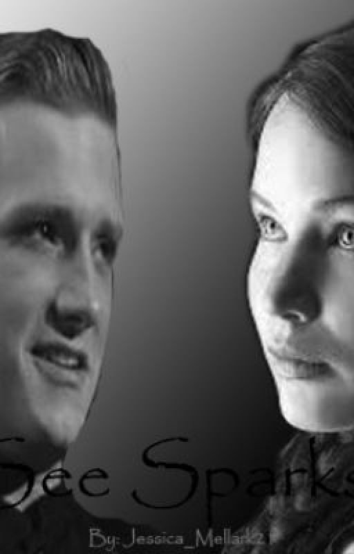 I see sparks fly. (A Hunger Games Fanfic)