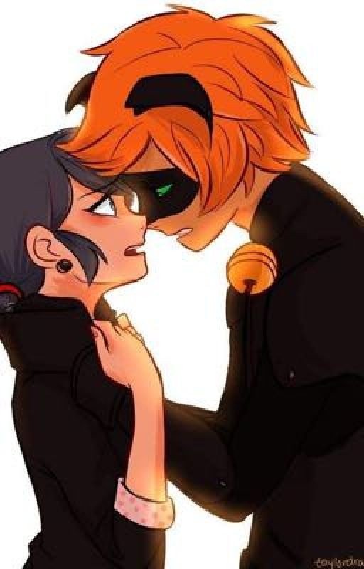 Chat's Princess *A Marichat Fanfic*