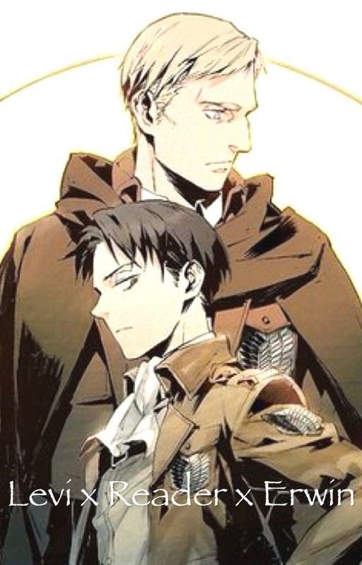 Levi x Reader x Erwin Fanfiction