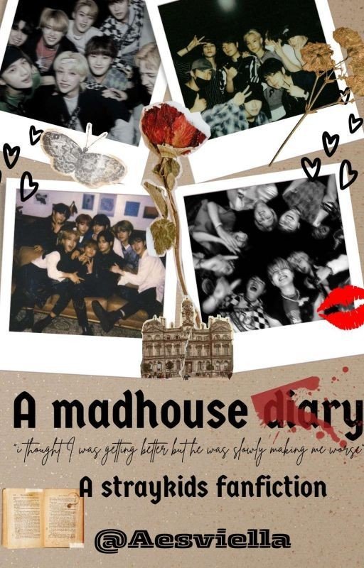 A Madhouse diary - straykids fanfiction