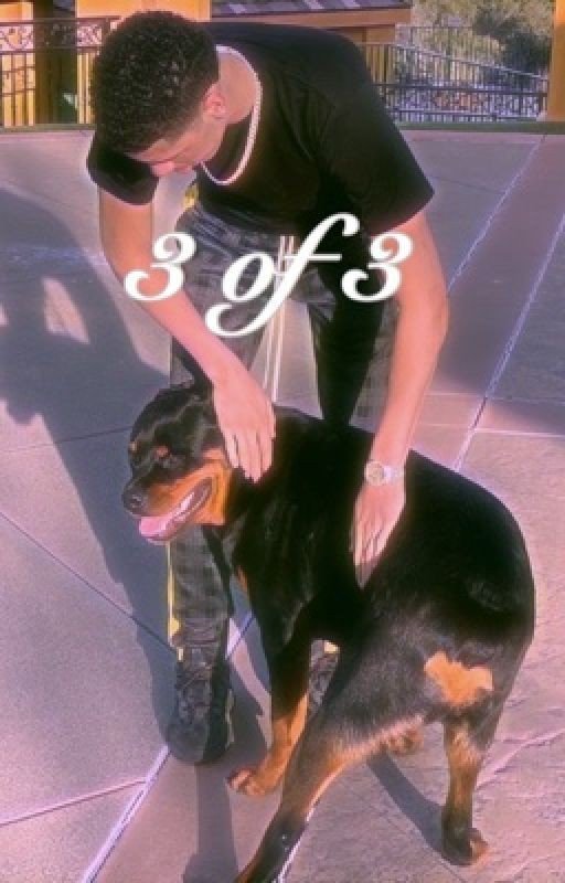 3 of 3 (L.B Fanfic)