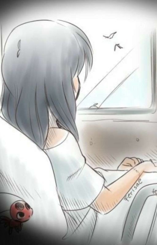 Please stay by my side ( a Miraculous fanfiction) FINISHED