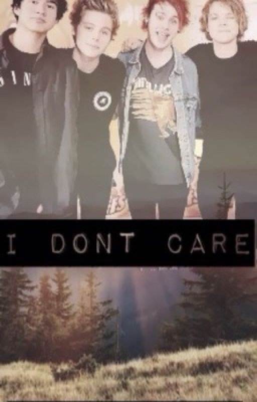 I Don't Care (5 Seconds of Summer fanfiction)