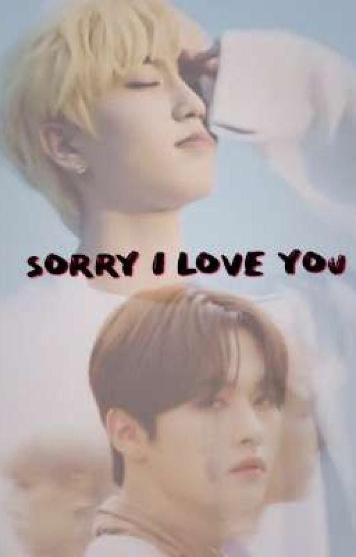 Sorry I love you | Stray Kids AU Fanfiction