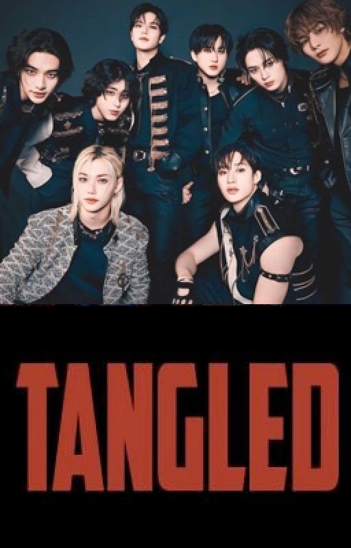 Tangled (A Stray Kids x Reader Dirty Fanfic)