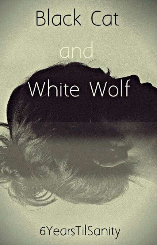 Black Cat and White Wolf [A Chat Noir X Reader Fanfic]