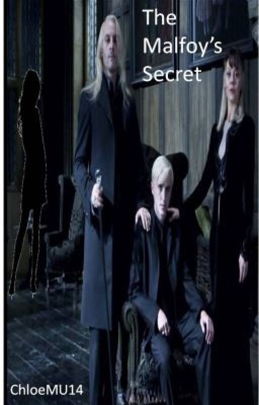 The Malfoy's Secret [Draco Malfoy fanfic]