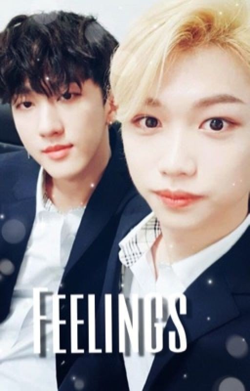 Feelings || A Changlix Fanfic
