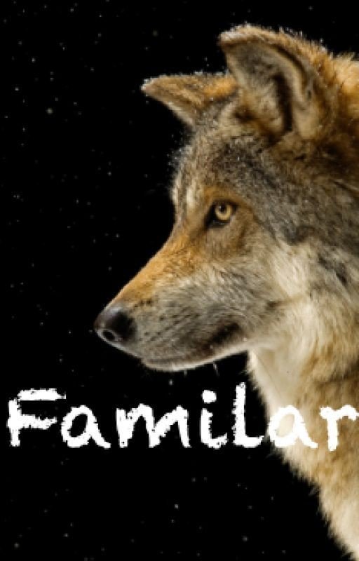 Familiar (Seth Clearwater FanFic)