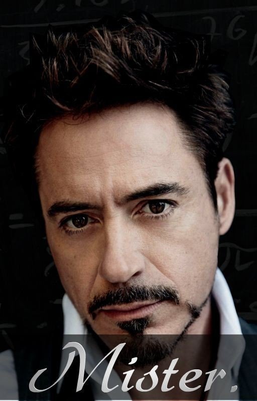 Mister. {Robert Downey Jr FanFiction}