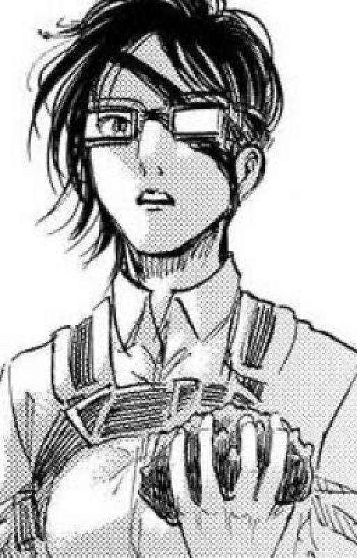 Roommates to Lovers [ Hange Zoe x reader ]