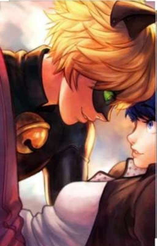 A twist in A tail (a miraculous ladybug and cat noir fanfic)