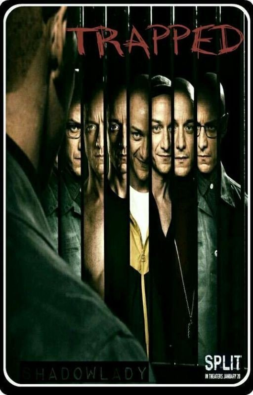 Trapped~ A split fanfiction