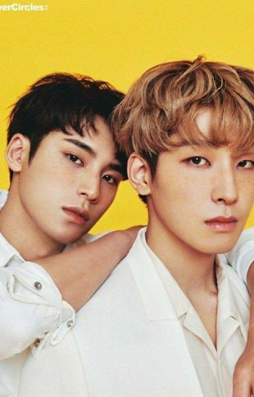 ALL MY DANDELIONS- Seventeen Fanfiction