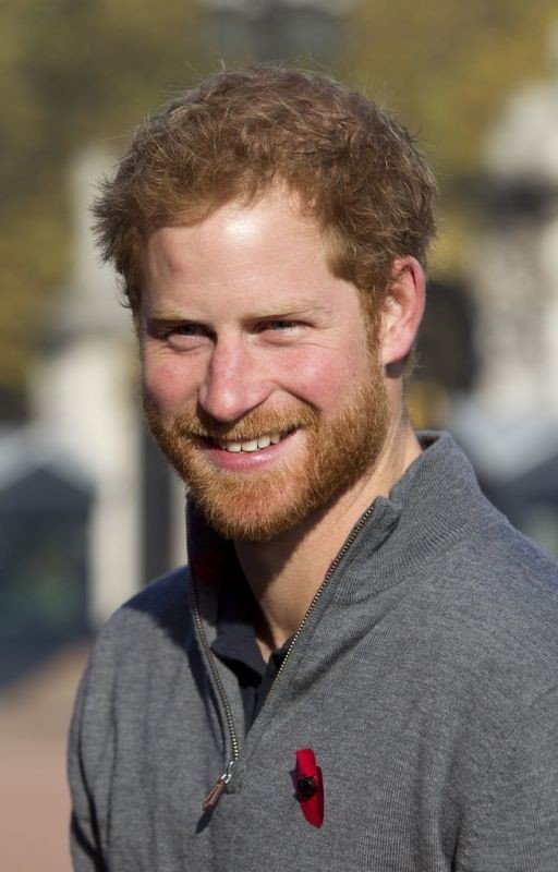 The Crown (Prince Harry fanfic #5)