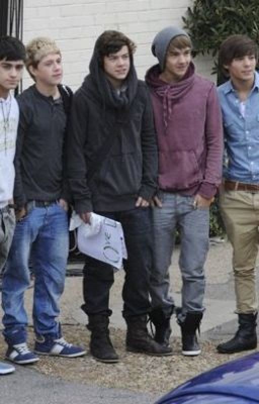 Living the Dream (One Direction FanFic)