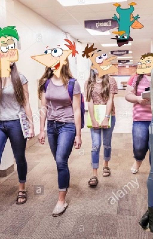 💞Pherb fanfic💞