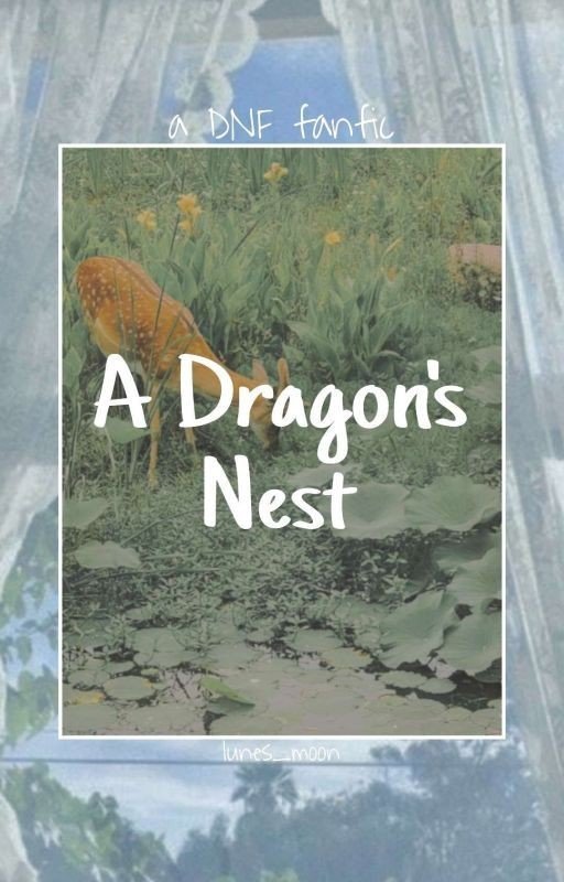 The Dragon's Nest || DNF fanfic