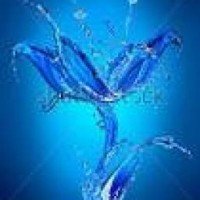 synchrostar