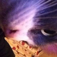 mookinsx
