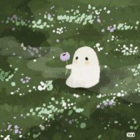 expecto-fandom89