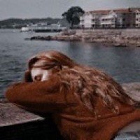 vintagerosepetal