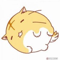 mellowisacat