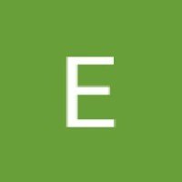 eciwriting