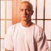 slimshadysfeverdream