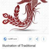 fierypeacock