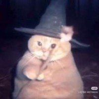 neko-alme