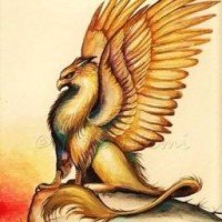 griffengirl-yay