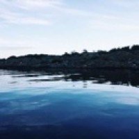 anonymouslywriting1
