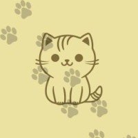 littlecattt6789