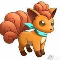 karla-cizeta