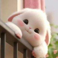 trinalovespink-12