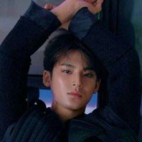 mingyu-fangs