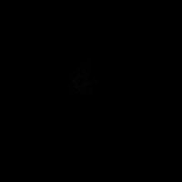 ainanafan